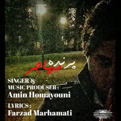 دانلود آهنگ امین همایونی درد و دل