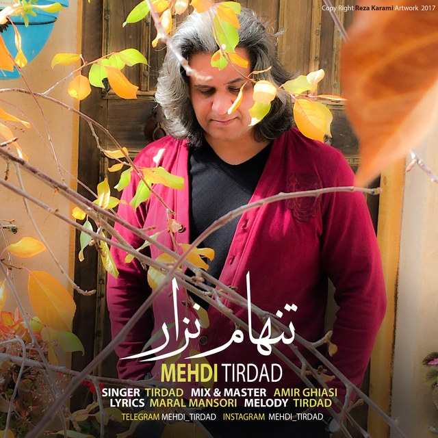 Mehdi Tirdad – Tanham Nazar