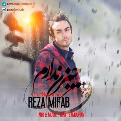 Reza Mirab – Chizi Nadaram