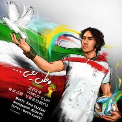 Player Cover