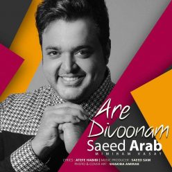 Saeed Arab – Are Divoonam