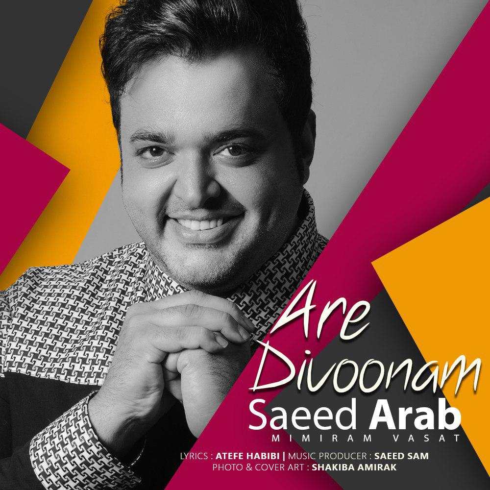 Saeed Arab – Are Divoonam