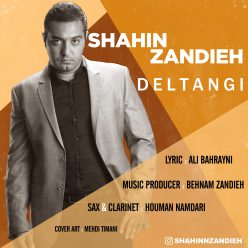 دانلود آهنگ شاهین زندیه یکم دیگه صبر کن