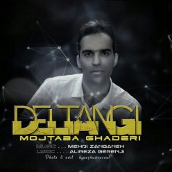 دانلود آهنگ مجتبی قادری دلتنگی