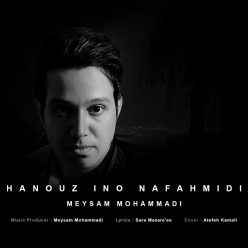 Meysam Mohammadi – Hanouz Ino Nafahmidi
