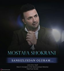 دانلود آهنگ مصطفی شکرانی و رضا همت آنام