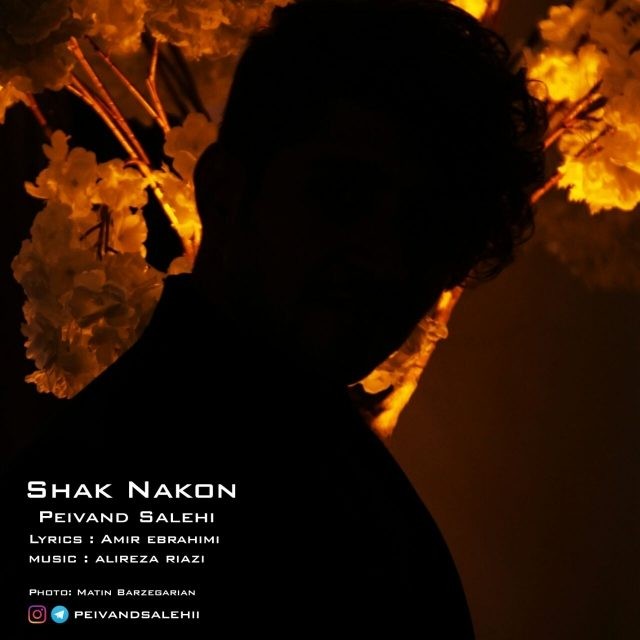 Peivand Salehi – Shak Nakon