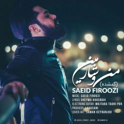 Saeid Firoozi – Mano Sharmin (Gomshode)