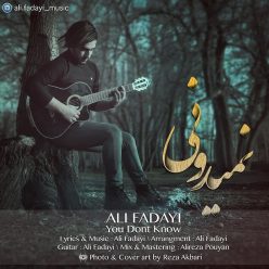 دانلود آهنگ علی فدایی ساده میگویم