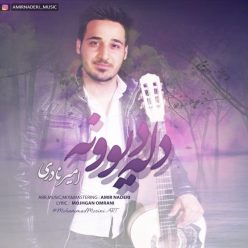 دانلود آهنگ امیر نادری دل دیوونه