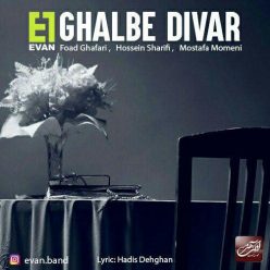 Player Cover