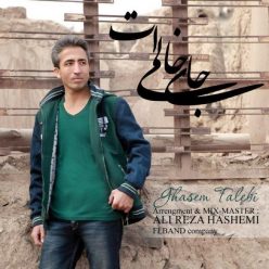 دانلود آهنگ قاسم طالبی دلتنگی