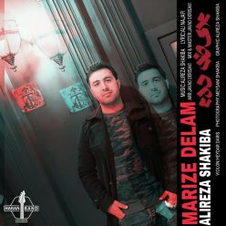 Haran Band (Alireza Shakiba) – Marize Delam