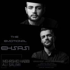 Mehrshid Habibi – Ehsasi (Ft Ali Salimi)