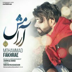 دانلود آهنگ محمد فخرایی از تو میگذرم