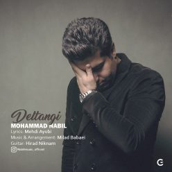 دانلود آهنگ محمدرضا نبی لو عشق من