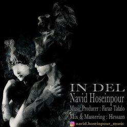 Navid Hosseinpour – In Del