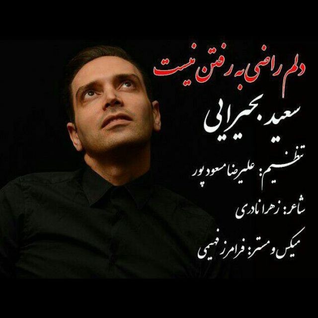 Saeed Bahiraie – Delam Razi Be Raftan Nist‏