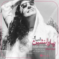 دانلود آهنگ اشکان شاه محمدی دور دور شبونه