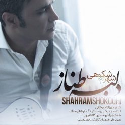 Player Cover