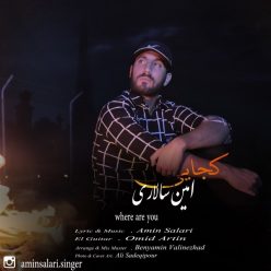 دانلود آهنگ امین سالاری لیلی