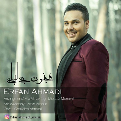 دانلود آهنگ عرفان  احمدى اشک زائرات
