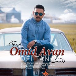 Omid Avan – Deltang