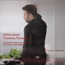 دانلود آهنگ وحید رضا زحمتکش جنون