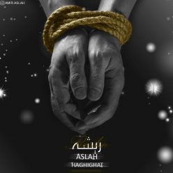 دانلود آهنگ محمد مصلحتی کار بلد