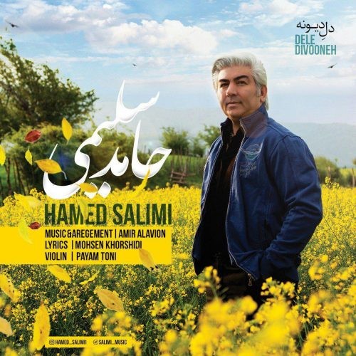 دانلود آهنگ حامد سلیمی جوونی