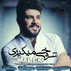 دانلود آهنگ مهدی ملک شوخی میگیری