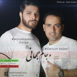 دانلود آهنگ محمدرضا دنیا و داریوش کلاته جام جهانی