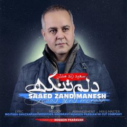 دانلود آهنگ سعید زند منش بیتابی