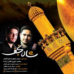 دانلود آهنگ میثم شیخ الاسلامی مولا علی (ع)