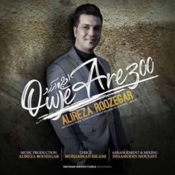 Player Cover