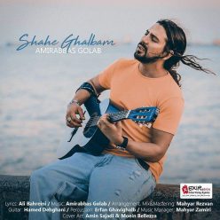 Player Cover