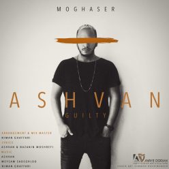 Player Cover