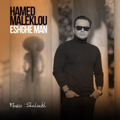 دانلود آهنگ حامد ملک لو حس خاص