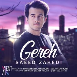 دانلود آهنگ سعید زاهدی عشق واقعی