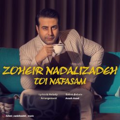 دانلود آهنگ زهیر نادعلیزاده بعضیا
