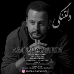 دانلود آهنگ امیرحسین محسنی بی قرارم