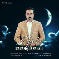 Babak Shekarchi – Gejalar