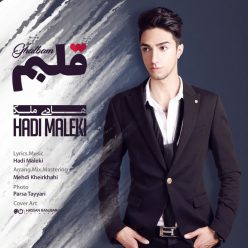 Hadi Maleki – Ghalbam
