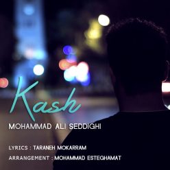Mohammad Ali Seddighi – Kash