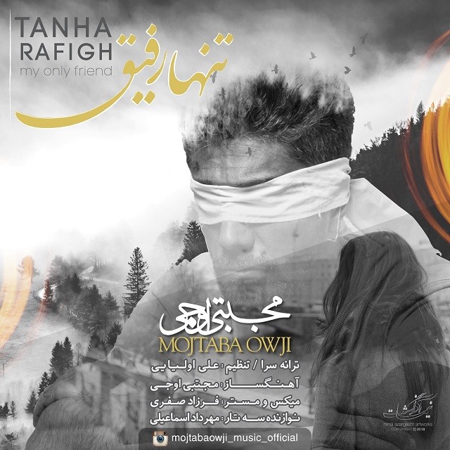 دانلود آهنگ مجتبی اوجی تنها رفیق