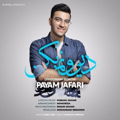 Payam Jafari – Divoonam Bokon
