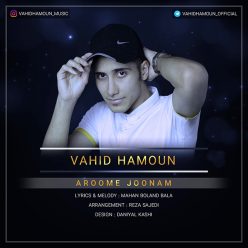 Vahid Hamoun – Aroome Joonam