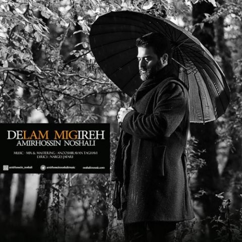 Amir Hossin Noshali – Delam Migire