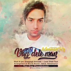 Mehran Rz – Vay Dele Man
