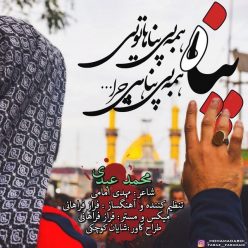 Mohamad Abdi – Panah